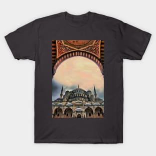 Turkey. Istanbul. The Blue Mosque. Entrance. T-Shirt